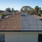 roof painting cost Sydney 2026