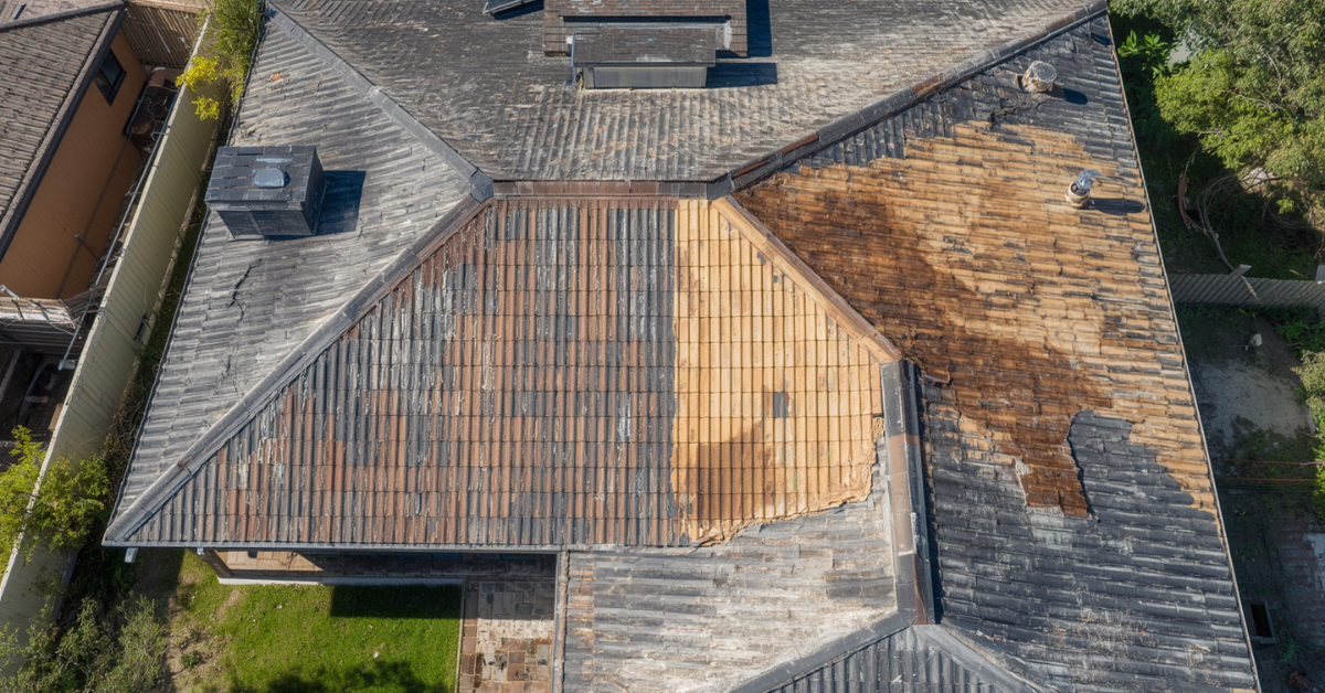 Moss re-establishing on a painted tile roof in South-West Sydney